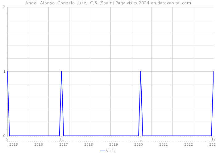 Angel Alonso-Gonzalo Juez, C.B. (Spain) Page visits 2024 