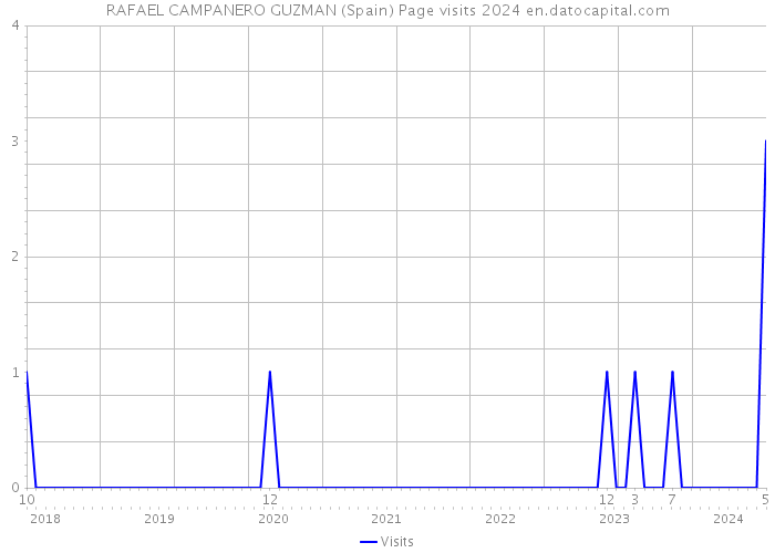RAFAEL CAMPANERO GUZMAN (Spain) Page visits 2024 