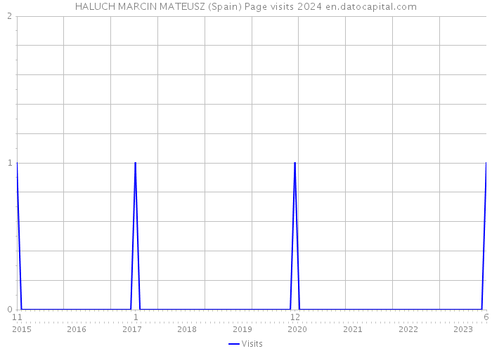 HALUCH MARCIN MATEUSZ (Spain) Page visits 2024 