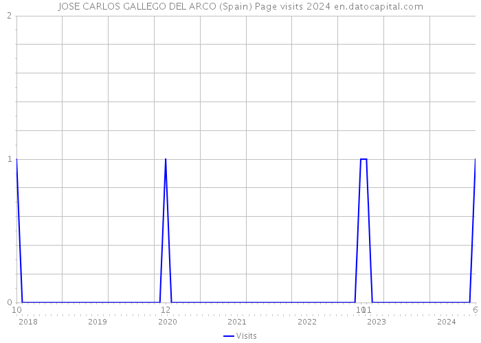 JOSE CARLOS GALLEGO DEL ARCO (Spain) Page visits 2024 