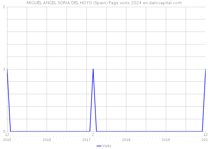 MIGUEL ANGEL SORIA DEL HOYO (Spain) Page visits 2024 