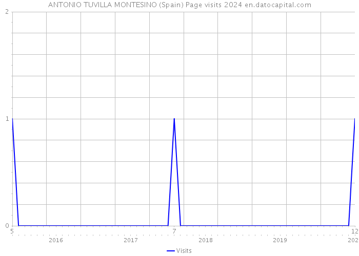 ANTONIO TUVILLA MONTESINO (Spain) Page visits 2024 