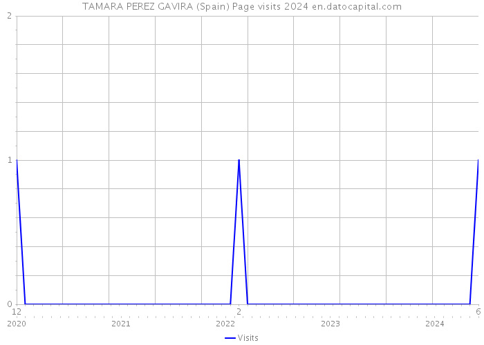 TAMARA PEREZ GAVIRA (Spain) Page visits 2024 