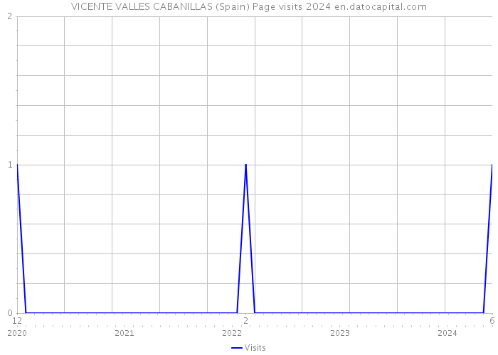 VICENTE VALLES CABANILLAS (Spain) Page visits 2024 