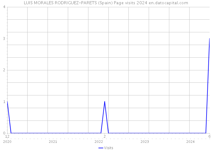 LUIS MORALES RODRIGUEZ-PARETS (Spain) Page visits 2024 