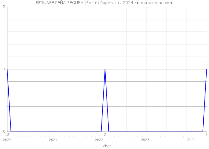 BERNABE PEÑA SEGURA (Spain) Page visits 2024 