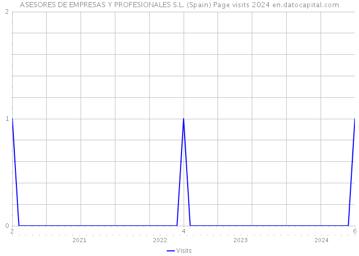 ASESORES DE EMPRESAS Y PROFESIONALES S.L. (Spain) Page visits 2024 