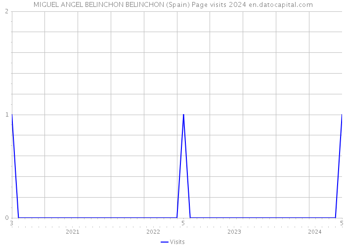 MIGUEL ANGEL BELINCHON BELINCHON (Spain) Page visits 2024 
