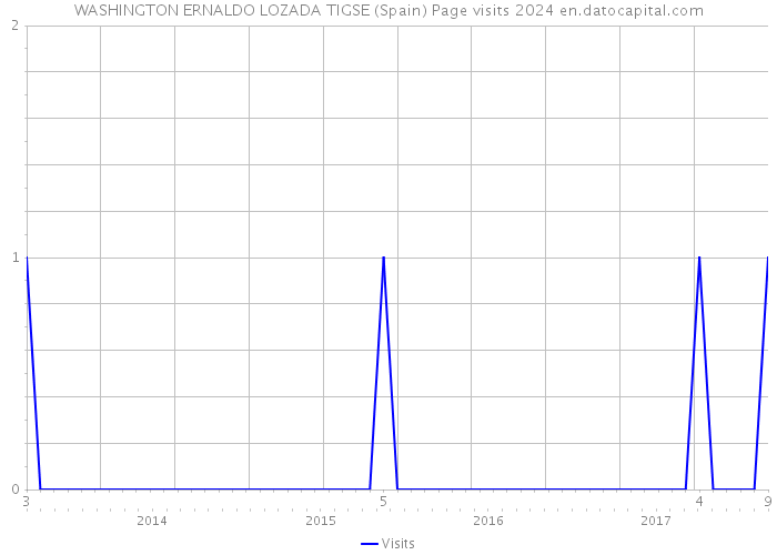 WASHINGTON ERNALDO LOZADA TIGSE (Spain) Page visits 2024 