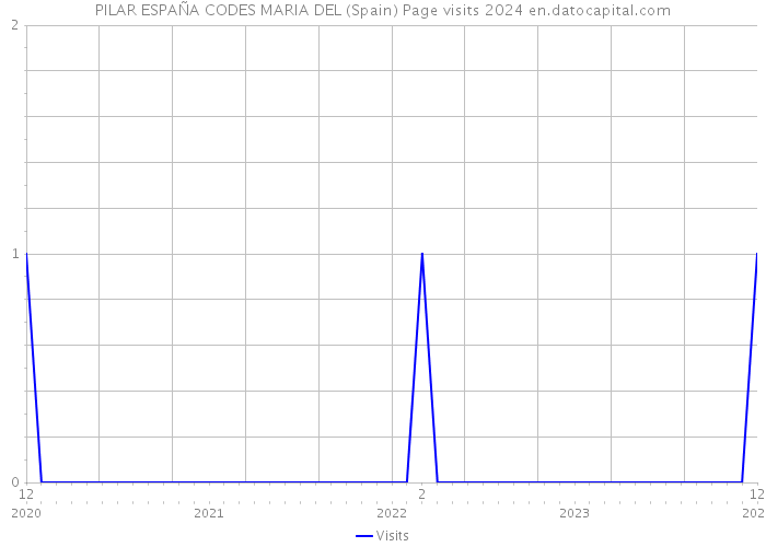 PILAR ESPAÑA CODES MARIA DEL (Spain) Page visits 2024 