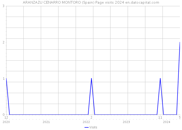 ARANZAZU CENARRO MONTORO (Spain) Page visits 2024 