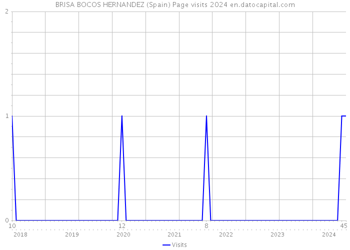 BRISA BOCOS HERNANDEZ (Spain) Page visits 2024 