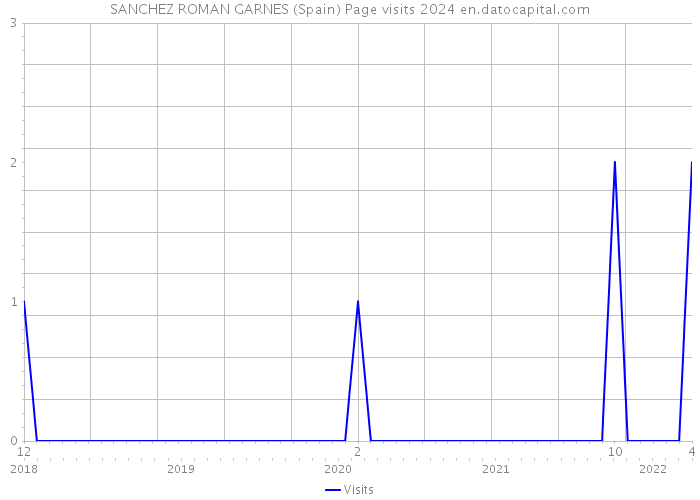 SANCHEZ ROMAN GARNES (Spain) Page visits 2024 
