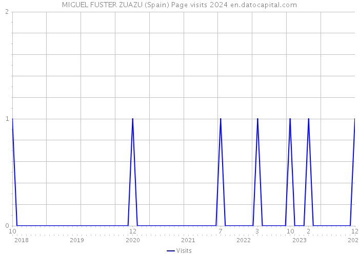 MIGUEL FUSTER ZUAZU (Spain) Page visits 2024 