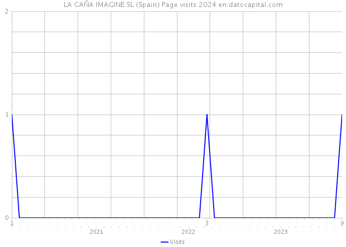 LA CAÑA IMAGINE SL (Spain) Page visits 2024 