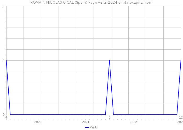ROMAIN NICOLAS CICAL (Spain) Page visits 2024 