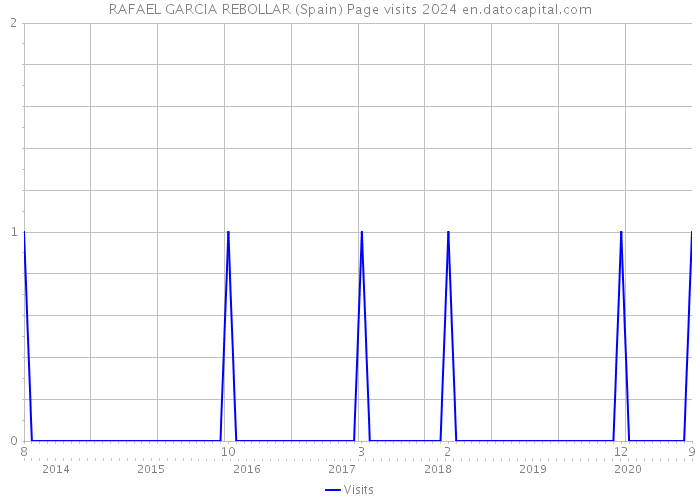 RAFAEL GARCIA REBOLLAR (Spain) Page visits 2024 