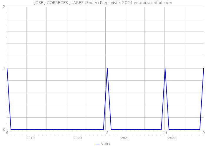 JOSE J COBRECES JUAREZ (Spain) Page visits 2024 