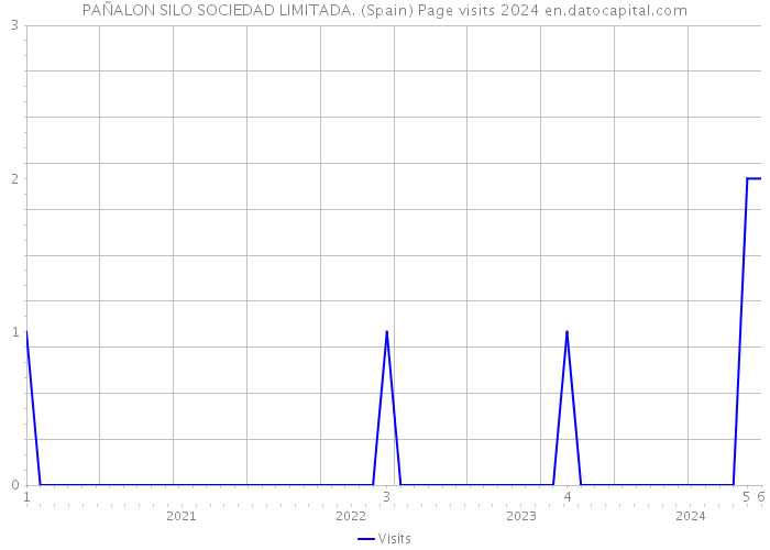 PAÑALON SILO SOCIEDAD LIMITADA. (Spain) Page visits 2024 