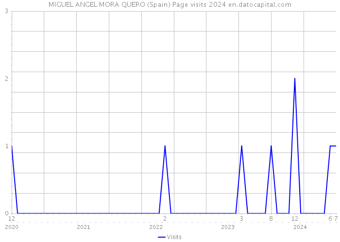 MIGUEL ANGEL MORA QUERO (Spain) Page visits 2024 