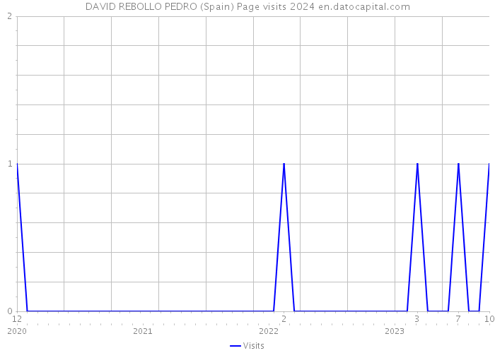 DAVID REBOLLO PEDRO (Spain) Page visits 2024 