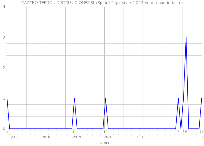 CASTRO TERRON DISTRIBUCIONES SL (Spain) Page visits 2024 