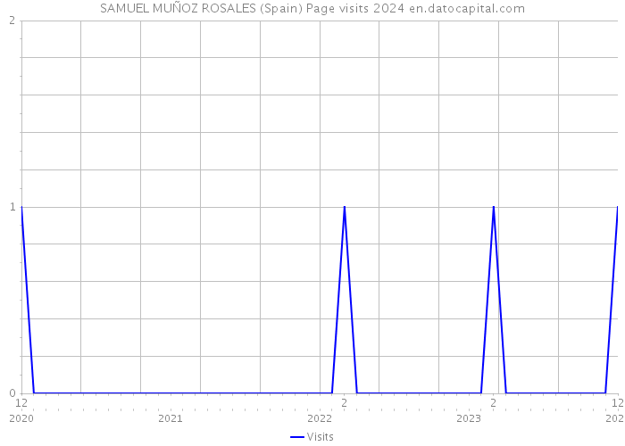 SAMUEL MUÑOZ ROSALES (Spain) Page visits 2024 