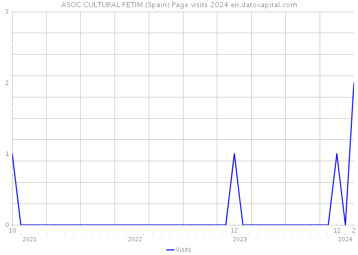 ASOC CULTURAL FETIM (Spain) Page visits 2024 