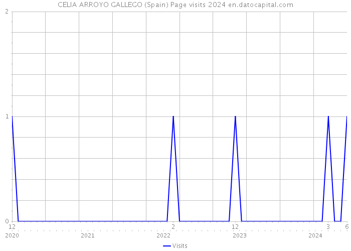 CELIA ARROYO GALLEGO (Spain) Page visits 2024 