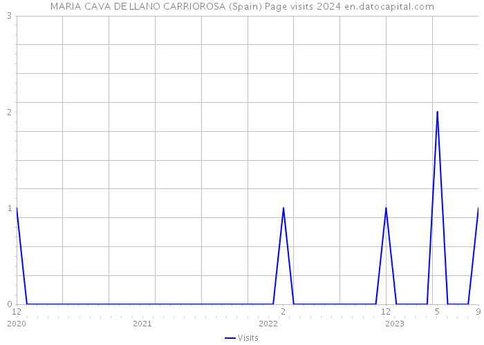 MARIA CAVA DE LLANO CARRIOROSA (Spain) Page visits 2024 