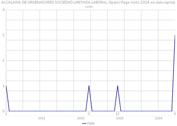 ALCALAINA DE ORDENADORES SOCIEDAD LIMITADA LABORAL (Spain) Page visits 2024 