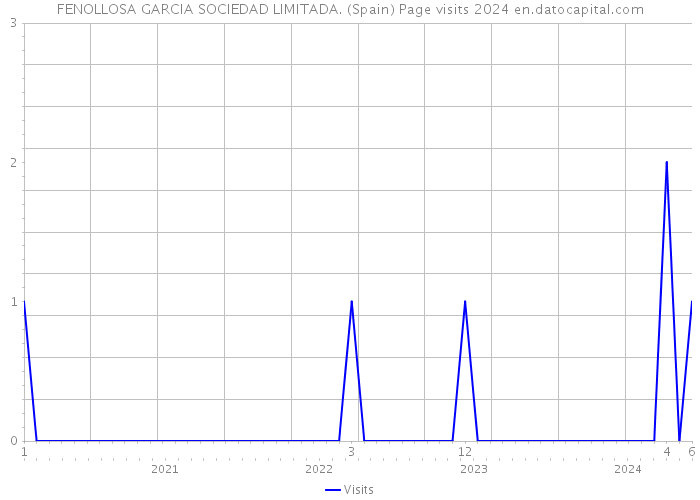 FENOLLOSA GARCIA SOCIEDAD LIMITADA. (Spain) Page visits 2024 