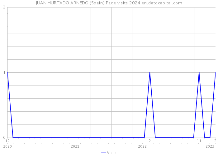 JUAN HURTADO ARNEDO (Spain) Page visits 2024 