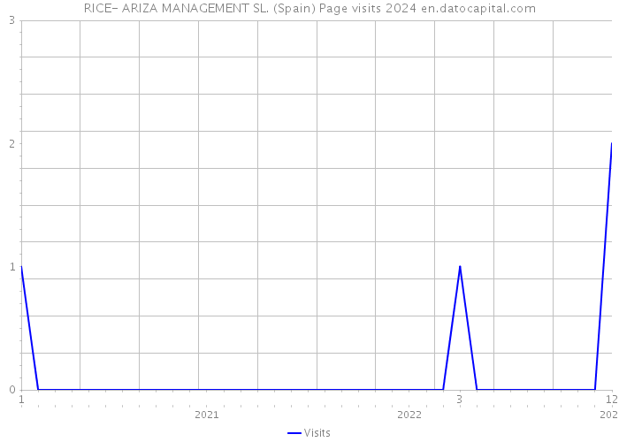 RICE- ARIZA MANAGEMENT SL. (Spain) Page visits 2024 