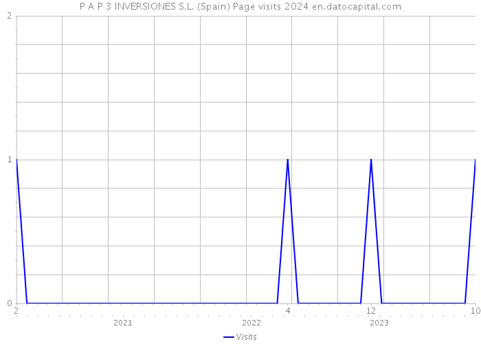 P A P 3 INVERSIONES S.L. (Spain) Page visits 2024 