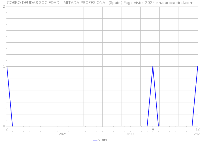 COBRO DEUDAS SOCIEDAD LIMITADA PROFESIONAL (Spain) Page visits 2024 