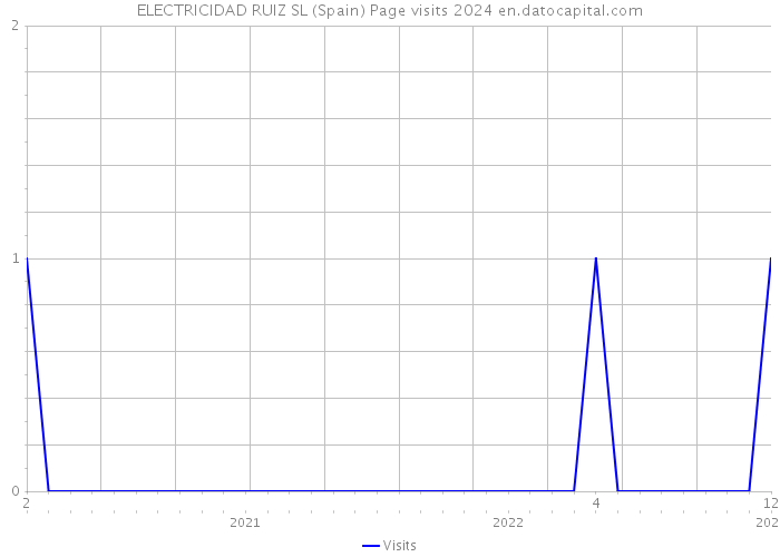 ELECTRICIDAD RUIZ SL (Spain) Page visits 2024 