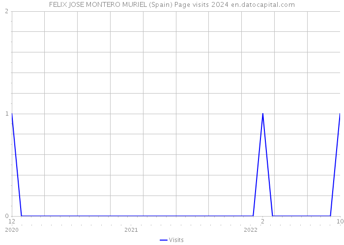 FELIX JOSE MONTERO MURIEL (Spain) Page visits 2024 