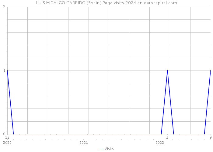 LUIS HIDALGO GARRIDO (Spain) Page visits 2024 