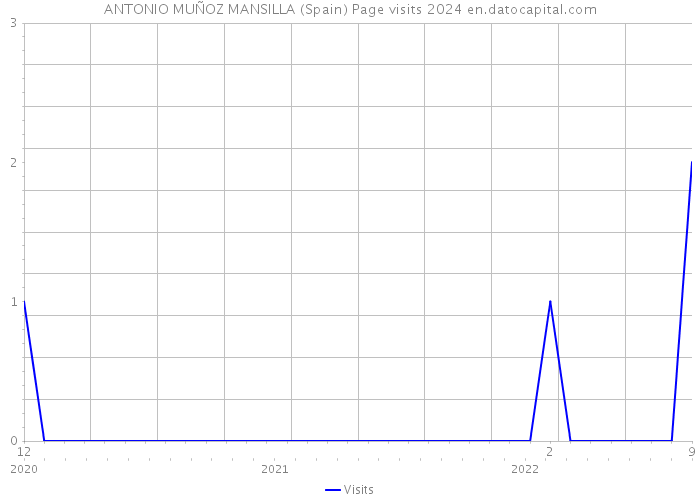 ANTONIO MUÑOZ MANSILLA (Spain) Page visits 2024 