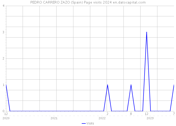 PEDRO CARRERO ZAZO (Spain) Page visits 2024 