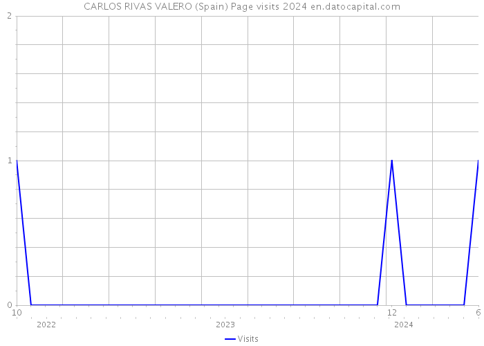 CARLOS RIVAS VALERO (Spain) Page visits 2024 