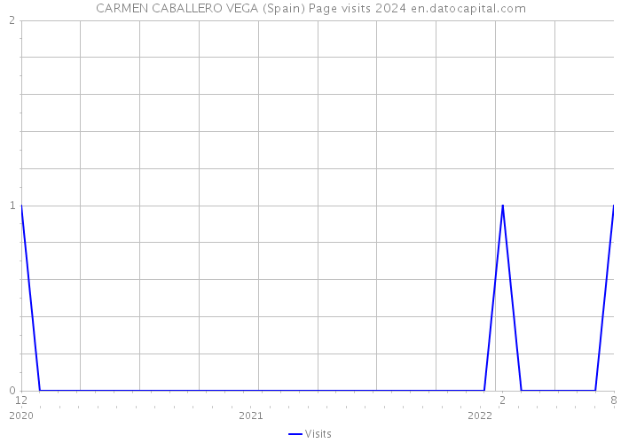 CARMEN CABALLERO VEGA (Spain) Page visits 2024 