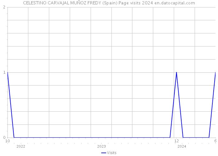 CELESTINO CARVAJAL MUÑOZ FREDY (Spain) Page visits 2024 