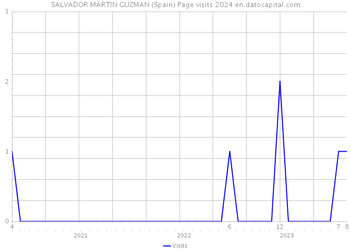 SALVADOR MARTIN GUZMAN (Spain) Page visits 2024 