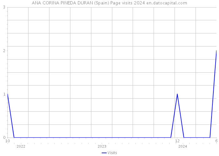 ANA CORINA PINEDA DURAN (Spain) Page visits 2024 