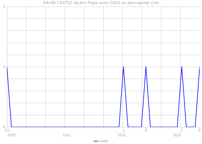 DAVID CASTLE (Spain) Page visits 2024 