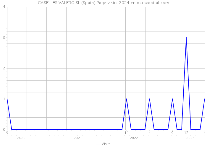 CASELLES VALERO SL (Spain) Page visits 2024 