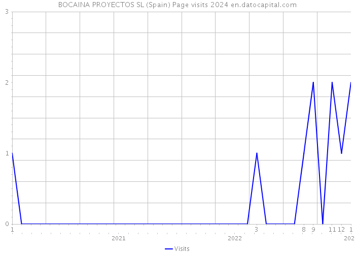 BOCAINA PROYECTOS SL (Spain) Page visits 2024 