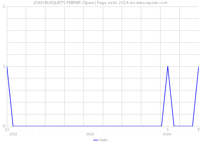 JOAN BUSQUETS FEBRER (Spain) Page visits 2024 